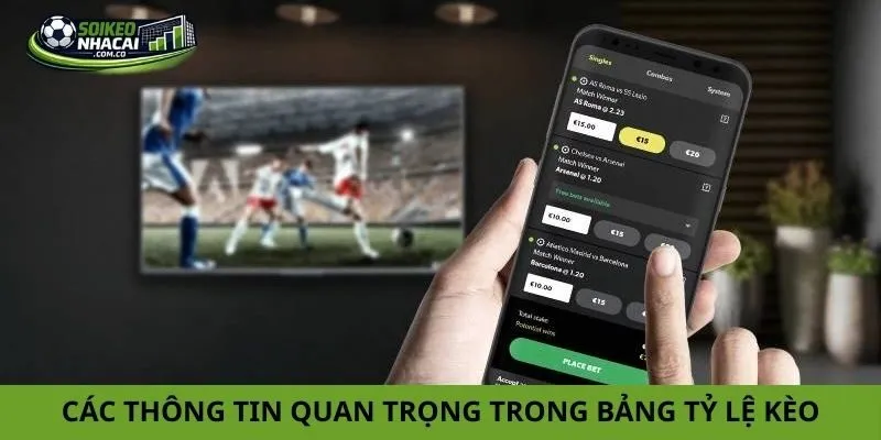 Các thông tin quan trọng trong bảng tỷ lệ kèo
