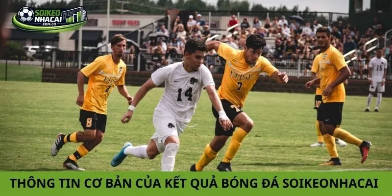 Thông tin cơ bản của kết quả bóng đá soikeonhacai