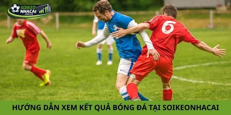 Hướng dẫn xem kết quả bóng đá tại soikeonhacai