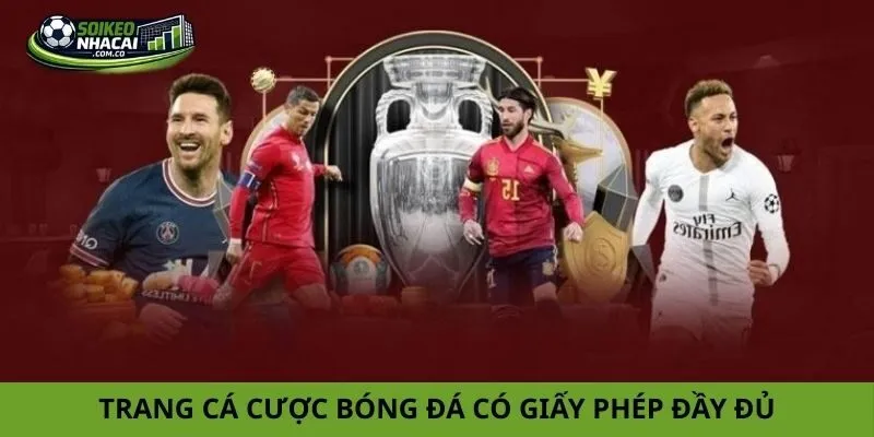 Lựa chọn trang cá cược bóng đá Lựa chọn trang cá cược bóng đá