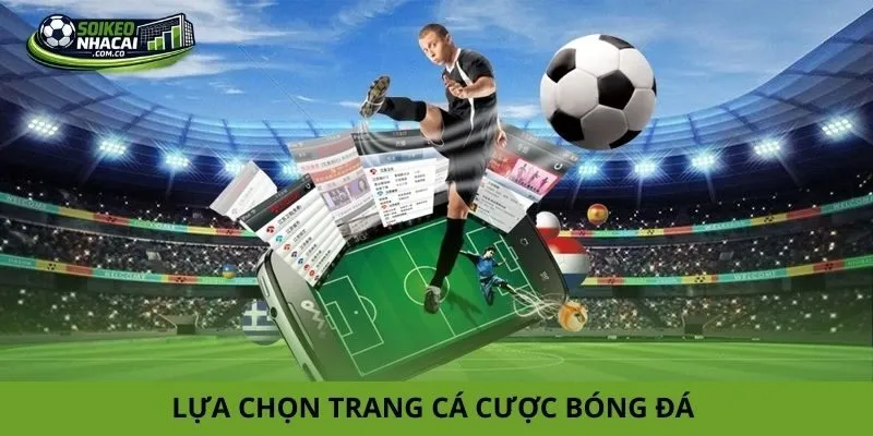lựa chọn trang cá cược bóng đá