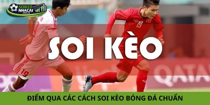 Điểm qua các cách soi kèo bóng đá chuẩn được chuyên gia áp dụng